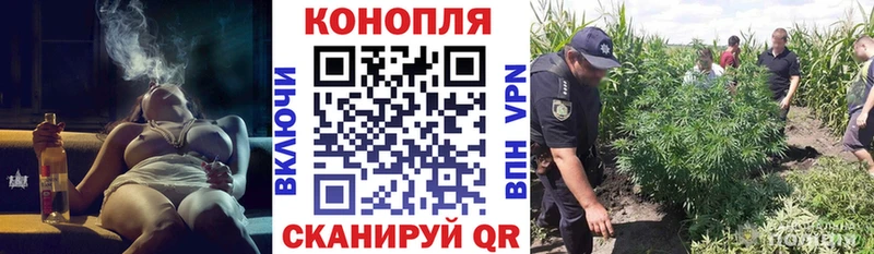 МАРИХУАНА ГИДРОПОН  Купить закладки  Горбатов 
